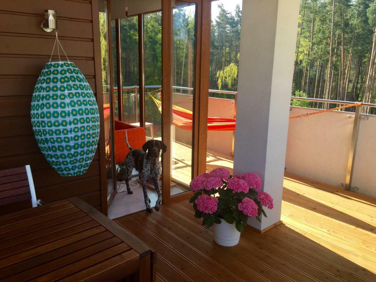 Apartamenty Flaming Baltic Park Stegna Экстерьер фото